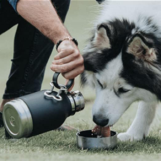 asobu Dog Bowl and Bottle