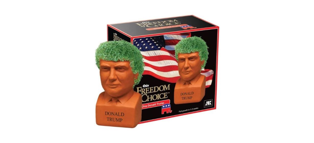 Chia Pet Donald Trump