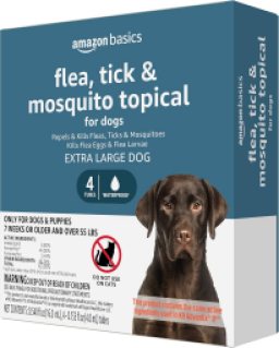 Amazon Basics