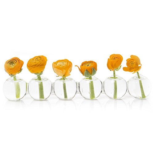 Chive Caterpillar Glass Bud Vases