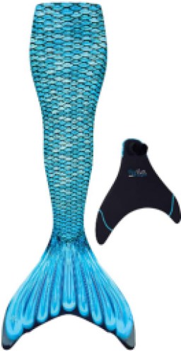 Fin Fun