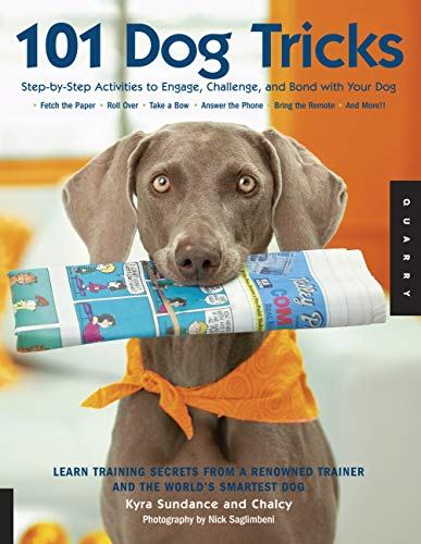 101 Dog Tricks By: Kyra Sundance &amp; Chalsy