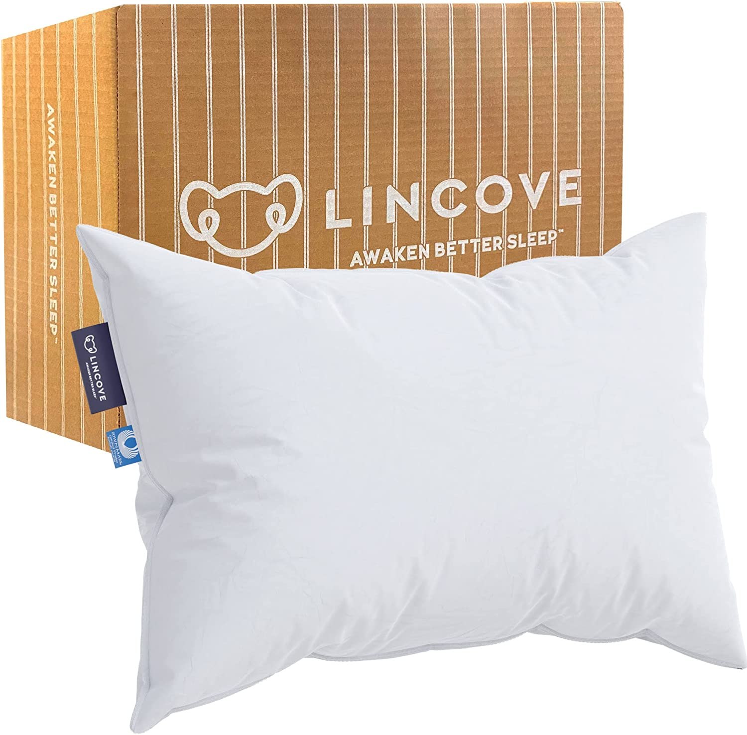 Lincove Cloud Natural Canadian White Down Luxury Sleeping Pillow